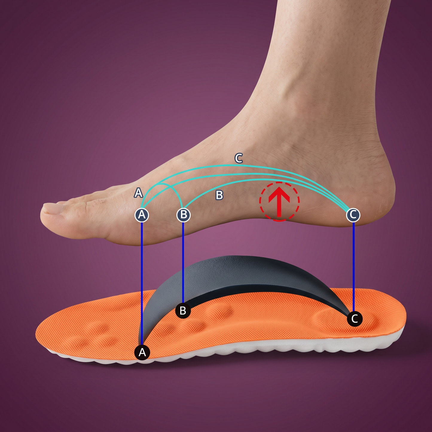 STRYDE™ semelles orthopédiques à support de voûte — soulagement instantané